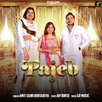 Download Pajeb Amit Saini Rohtakiya mp3 song, Pajeb Amit Saini Rohtakiya full album download