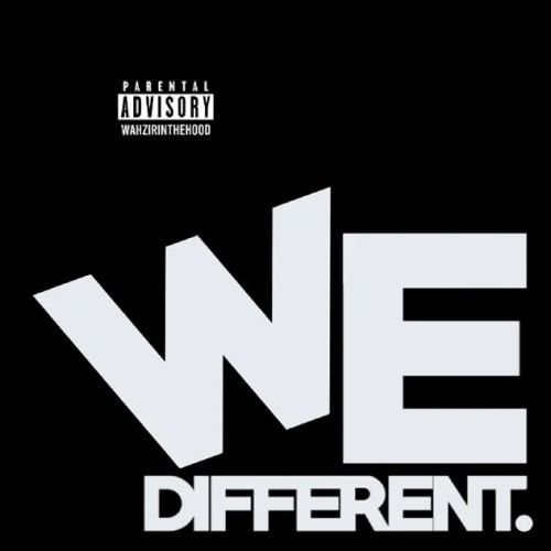 We Different Wazir Patar mp3 song download